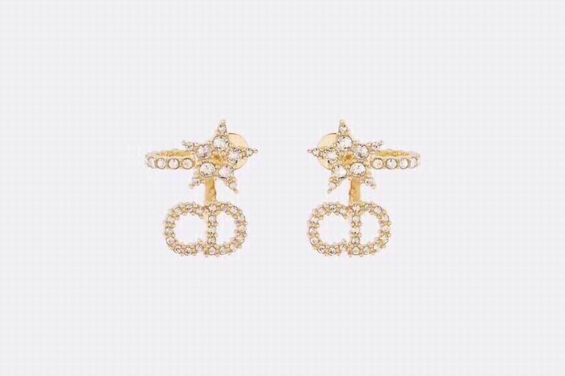 Dior Earring 04lyr396